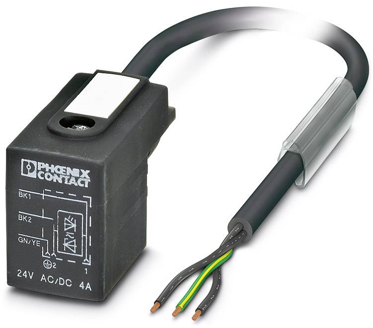 Relais von Phoenix Contact mit schwarzem Gehäuse, Anschlusskabeln und Beschriftung '24V AC/DC 4A'.
