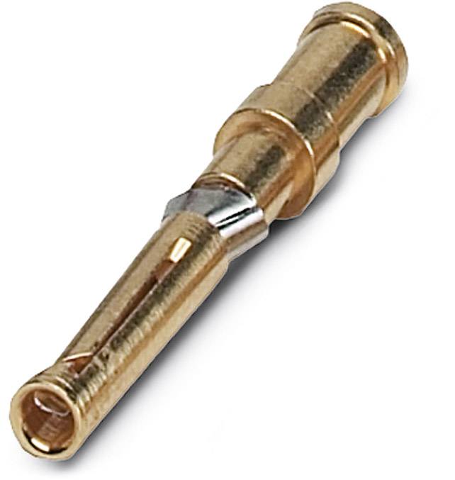 Ein einzelner, goldfarbener elektrischer Steckverbinderstift auf weißem Hintergrund.