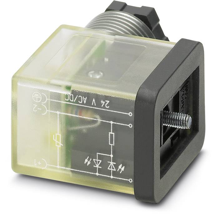 Transparentes Relais mit Schaltplan auf der Oberfläche, gekennzeichnet mit '24 V AC/DC'. Sichtbare Anschlüsse und Schraubgewinde.