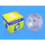 Omnilux WFL Halogen Lichteffekt Leuchtmittel 230V GX16d 300W Weiß dimmbar Omnilux WFL Halogen Lichteffekt Leuchtmittel 230V GX16d 300W Weiß dimmbar