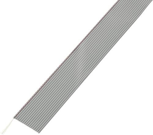 TRU Components 1567185 Flachbandkabel Rastermaß: 1.27 mm 10 x 0.035 mm² Grau 30.5 m