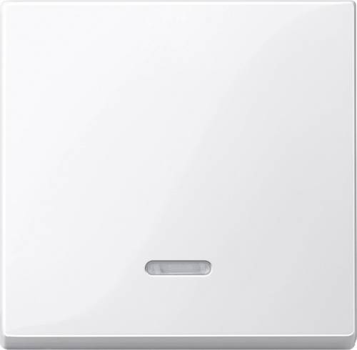 Merten 436019 M-System Cover Control Switch Polar White Glossy
