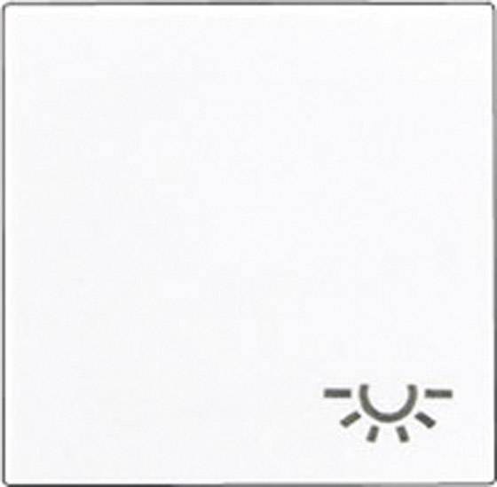 Jung Wippe Symbol LICHT aws A 590 L WW