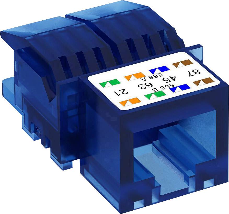 OBO Bettermann 6117341-BU Geräteeinbaukanal Datenanschlussmodul Cat 6 1 St. Blau