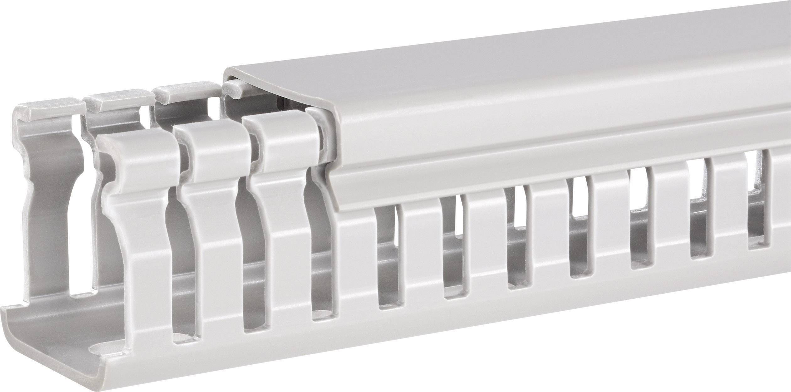 Hager Verdrahtungskanal (L x B x H) 2000 x 47 x 33 mm 1 St. Grau