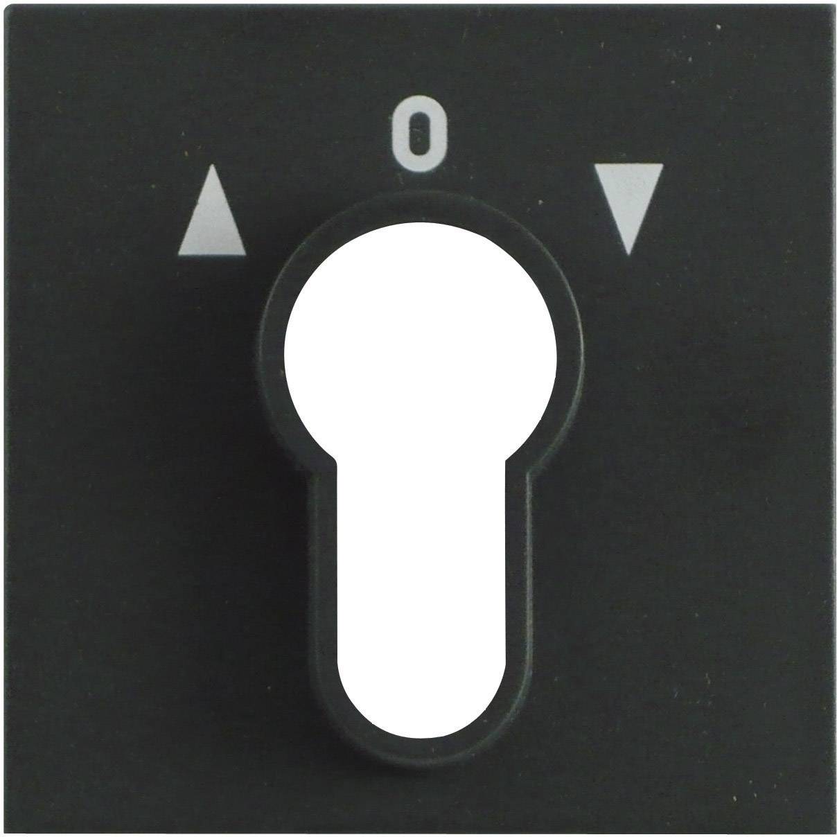 GIRA Abdeckung Schlüsselschalter System 55, Standard 55, E2, Event, Event Klar, Event Opak, Esprit, ClassiX Anthrazit 066428 1 St.