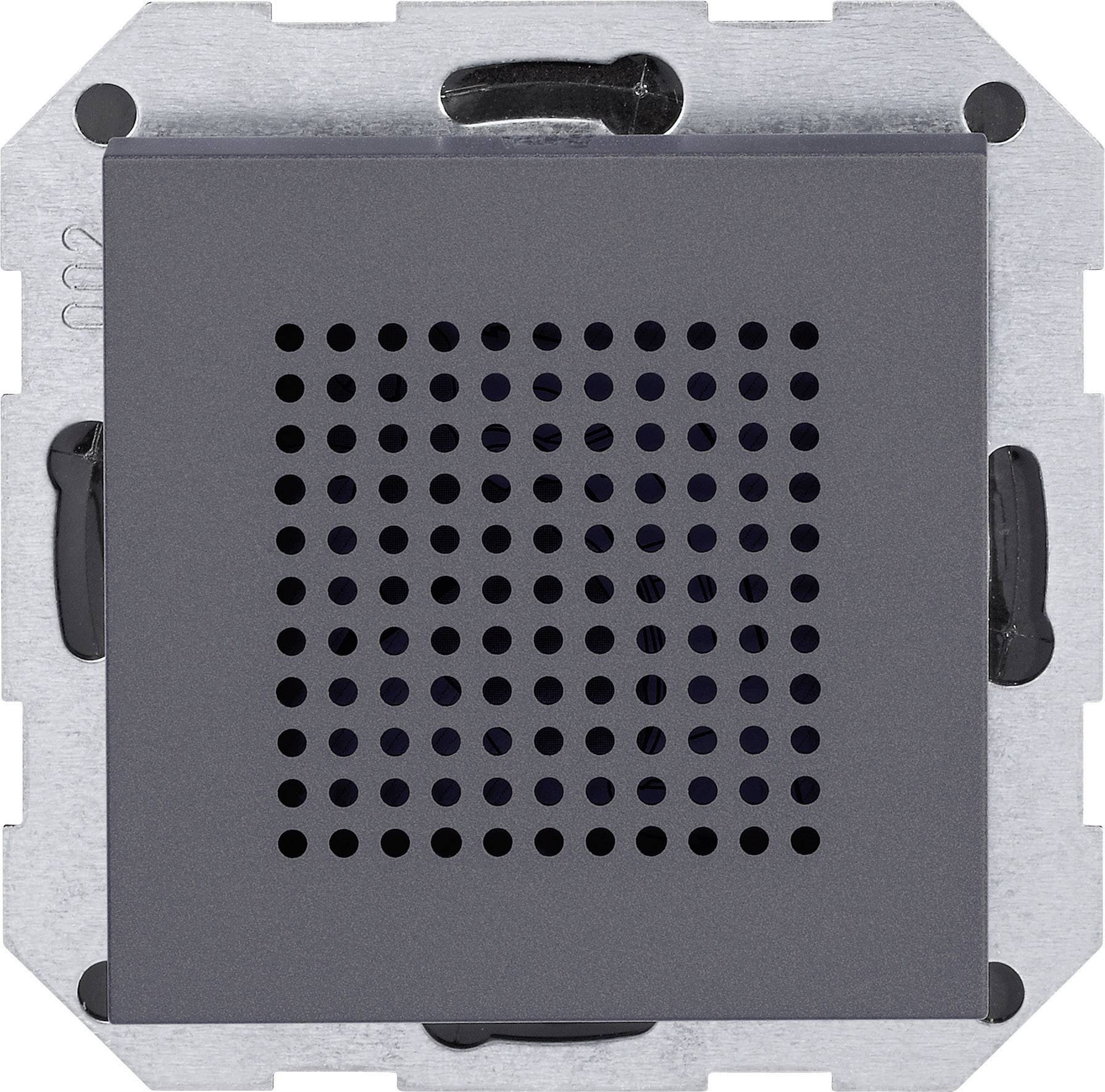 GIRA Einsatz Lautsprecher System 55 Anthrazit 1 St.