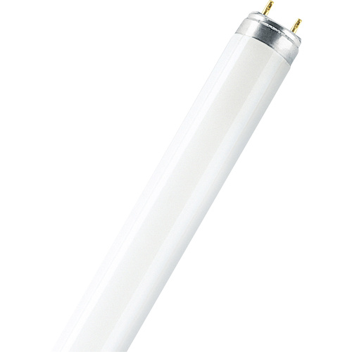 Osram Leuchtstoffröhre EEK: G (A - G) G13 36W Warmweiß Röhrenform (Ø x L) 26mm x 1213.6mm