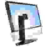 Ergotron Neo-Flex® Stand 1fach Monitor-Standfuß 50,8 cm (20") - 81,3 cm (32") Schwarz Höhenverstel