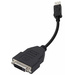 Adaptateur DisplayPort, DVI club3D CAC-1000 [1x DisplayPort mâle - 1x DVI femelle 24+1 pôles] 0.11 m noir