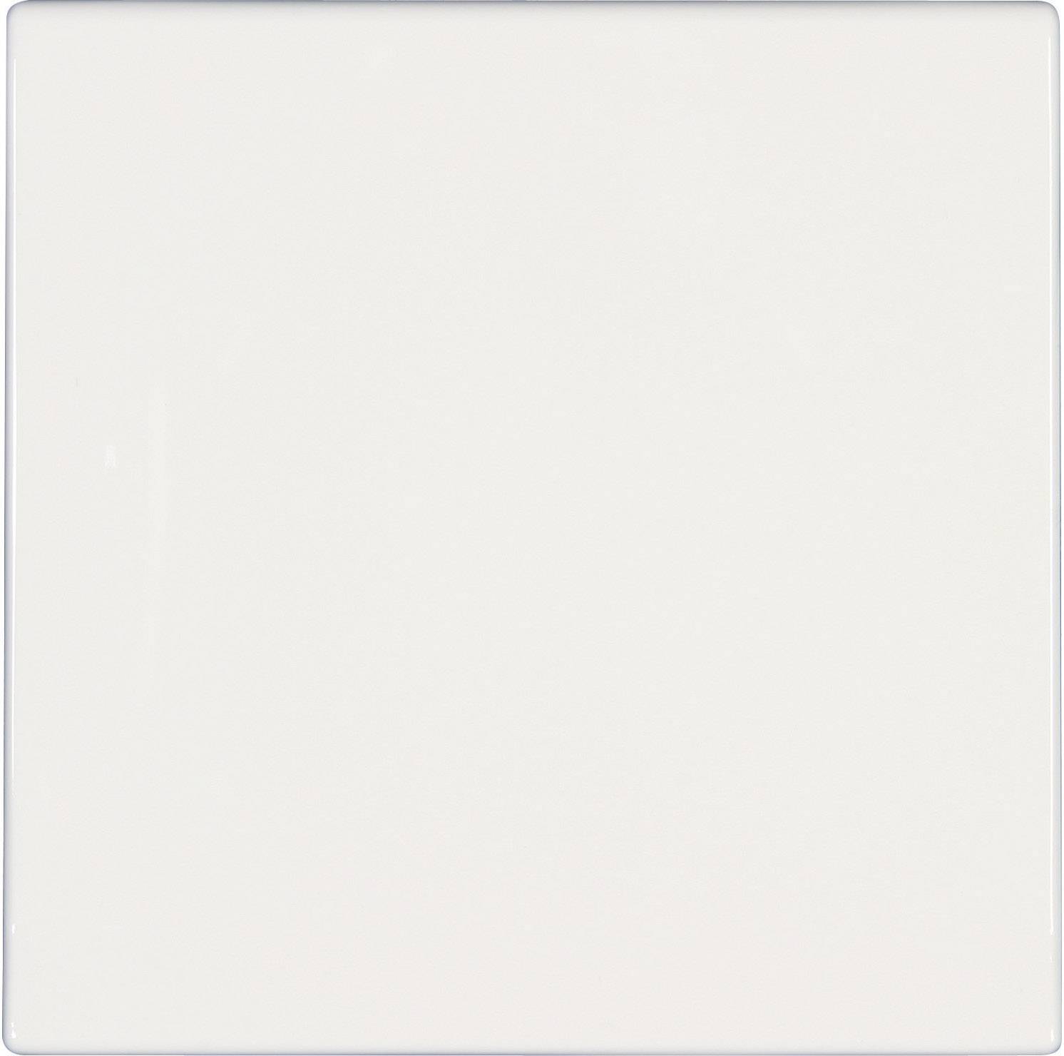 Busch-Jaeger Einsatz Schutzkontakt-Steckdose mit Klappdeckel Solo Weiß 1 St.