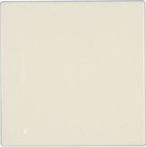 Jung Abdeckung Blindabdeckung LS 990, LS design, LS plus Creme-Weiß LS 994 B 1 St.