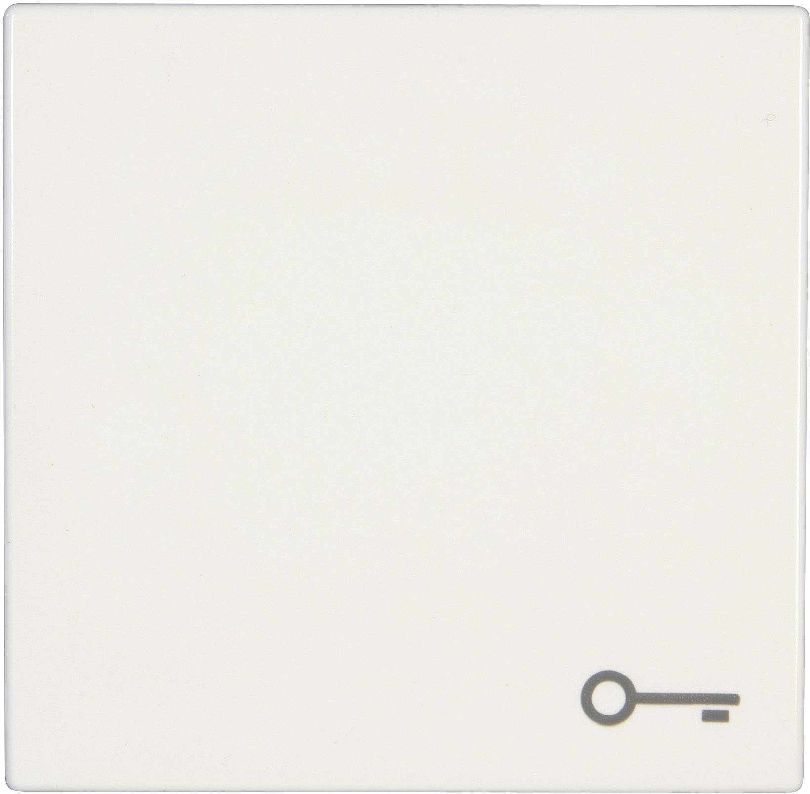 Jung Wippe Symbol TÜR aws LS 990 T WW