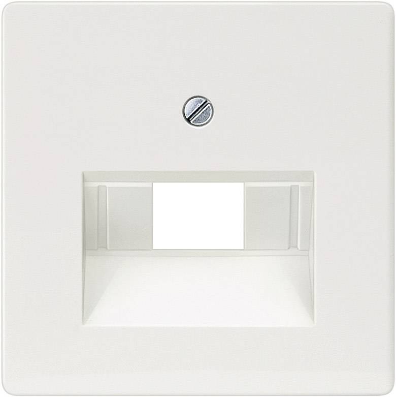 Ein weißer Wandlichtschalter mit einer breiten, rechteckigen Taste in der Mitte und einer kleinen Schraube darüber.