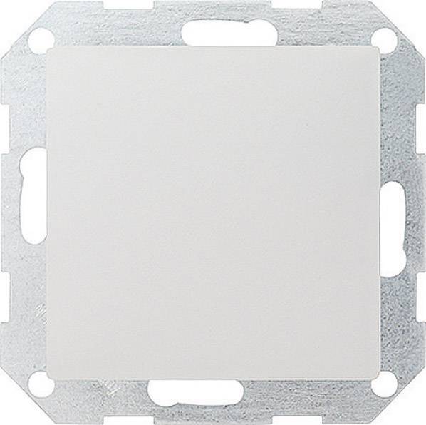 Ein weißer, quadratischer Lichtschalter ohne sichtbare Schalter- oder Knopfdetails, montiert auf einer Metallplatte.