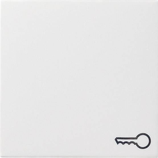 Gira Wippe Schlüssel rws 028727