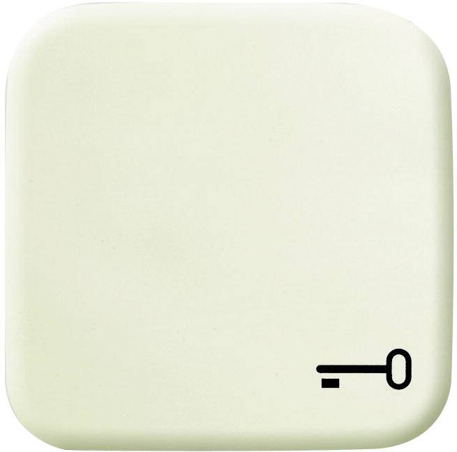 Busch-Jaeger Abdeckung Symbolwippe "Schlüssel" Duro 2000 SI, Duro 2000 SI Linear Creme-Weiß 2520 TR-212 1 St.