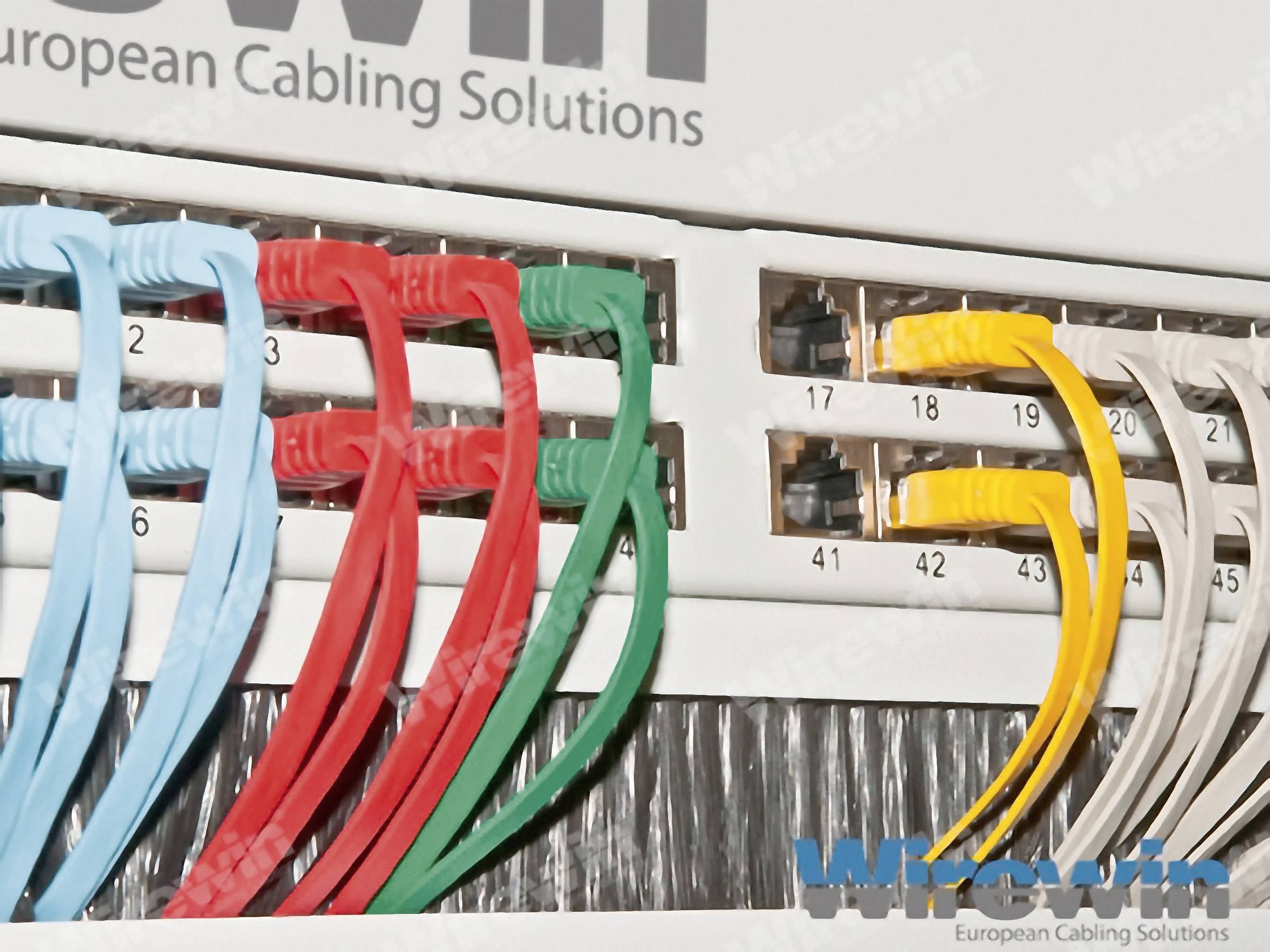 Wirewin RJ45 Patchkabel CAT 6 U/UTP 2.00 m Blau hochflexibel 1 St.