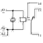 WAGO 789-508 Industrierelais Nennspannung: 230 V/AC Schaltstrom (max.): 12A 1 Wechsler 1St.