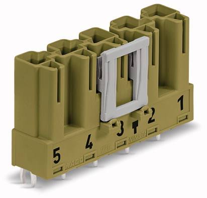 WAGO 770-875 Netz-Steckverbinder WINSTA MIDI Stecker, Einbau vertikal Gesamtpolzahl: 5 25 A Hellgrün 50 St.