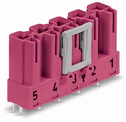 WAGO 770-895 Netz-Steckverbinder WINSTA MIDI Stecker, Einbau vertikal Gesamtpolzahl: 5 25 A Pink 50 St.