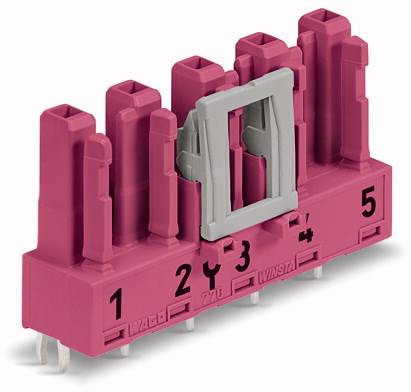 WAGO 770-885 Netz-Steckverbinder WINSTA MIDI Buchse, Einbau vertikal Gesamtpolzahl: 5 25A Pink 50St.