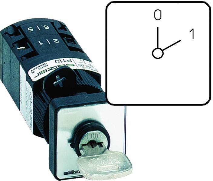 Sälzer P110-61001-S001B Nockenschalter 10A 1 x 60° Grau, Schwarz 1St.