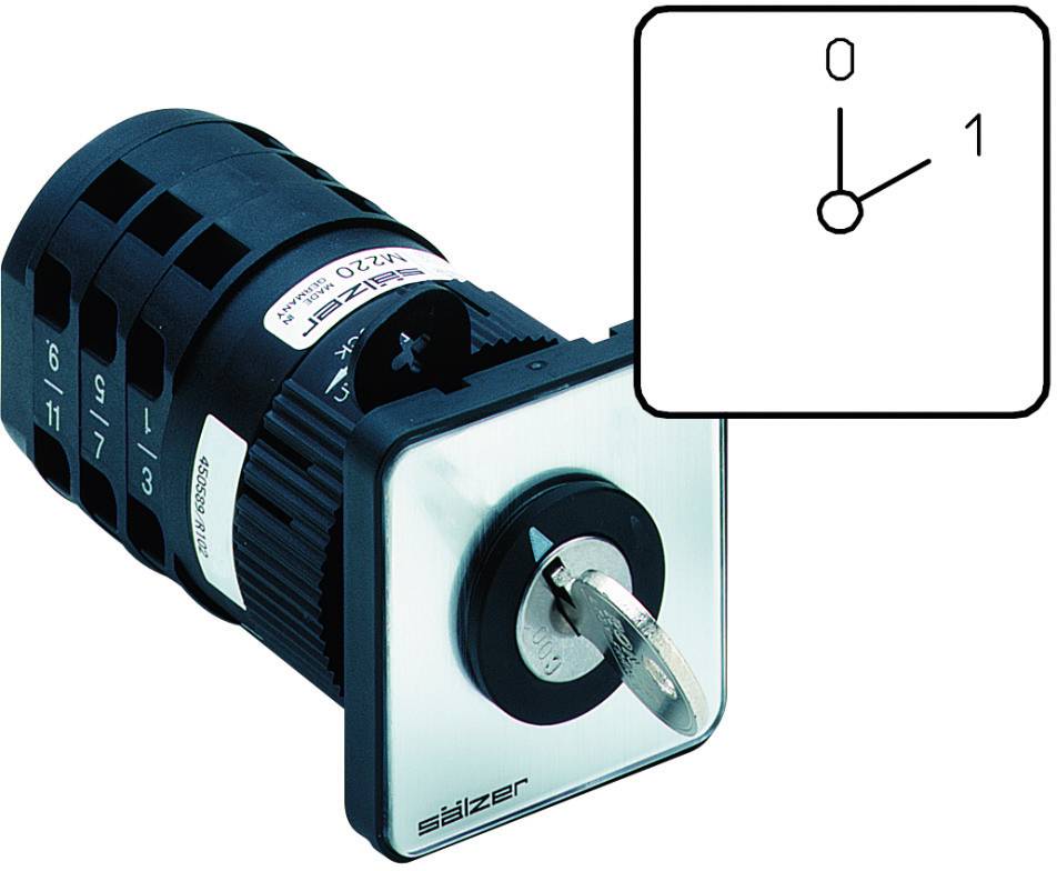 Sälzer M220-61001-S001B Nockenschalter 20A 1 x 60° Grau, Schwarz 1St.