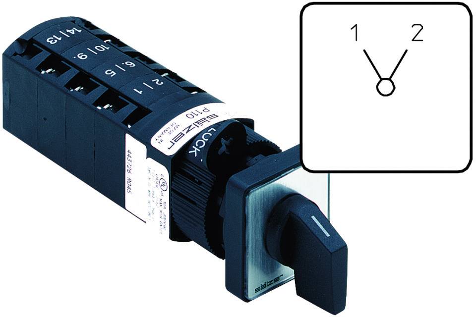 Sälzer P110-61037-219M1 Nockenschalter 10A 1 x 30° Grau, Schwarz 1St.