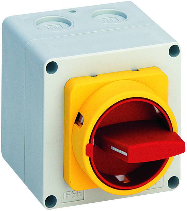 Sälzer M220-61199-117M4 Nockenschalter 20A 1 x 90° Gelb, Rot 1St.