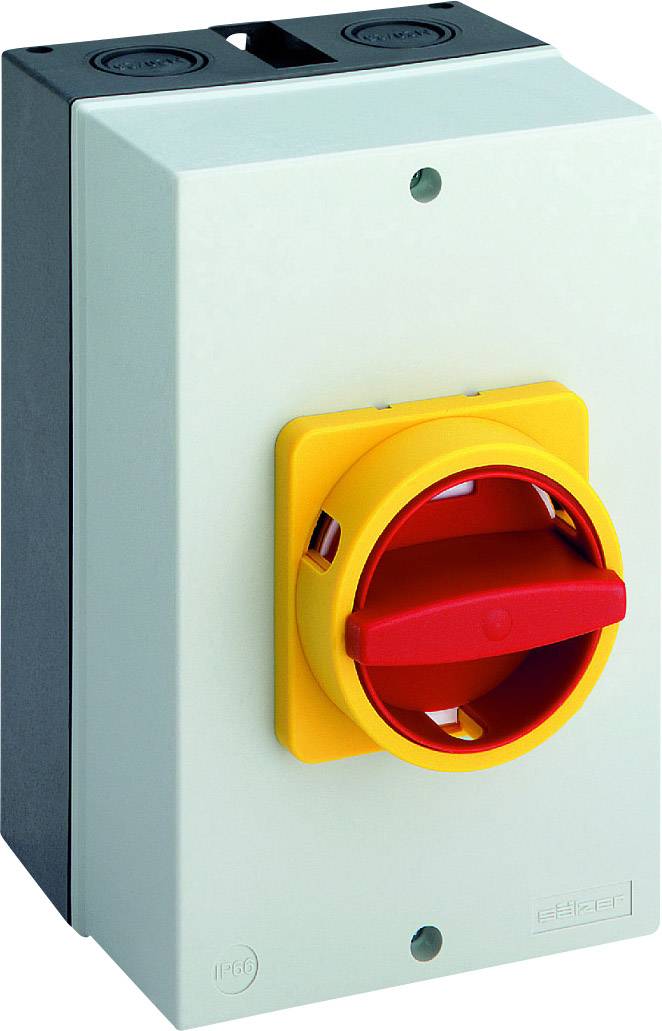 Sälzer B263-41300-710N4 Lasttrennschalter 63A 1 x 90° Gelb, Rot 1St.