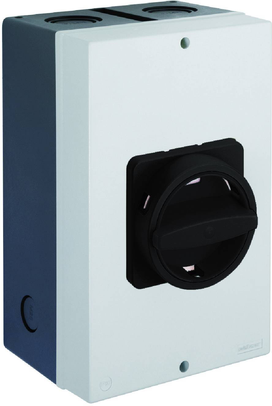 Sälzer H408-41300-730N1 Lasttrennschalter 80A 1 x 90° Schwarz 1St.