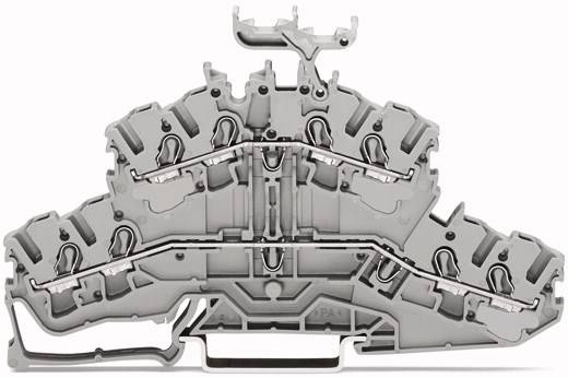 WAGO 2002-2431 Doppelstock-Durchgangsklemme 5.20mm Zugfeder Belegung: L, L Grau 50St.