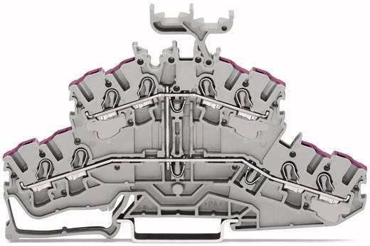 WAGO 2002-2438 Doppelstock-Durchgangsklemme 5.20mm Zugfeder Belegung: L Grau 50St.
