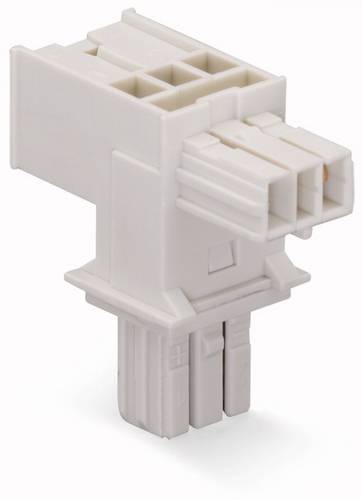 WAGO Netz-T-Verteiler Netz-Stecker - Netz-Buchse, Netz-Buchse Gesamtpolzahl: 2 Lichtgrau 25 St.