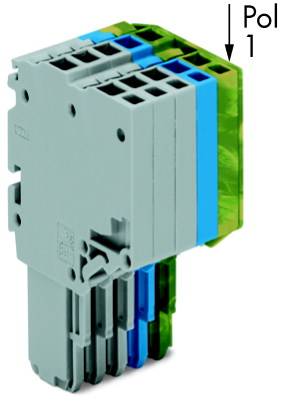Graues, mehrfarbiges Steckmodul mit Steckplätzen und Beschriftung 'Pol 1' auf der rechten Seite. Hauptfunktion: Elektrische Verbindung.