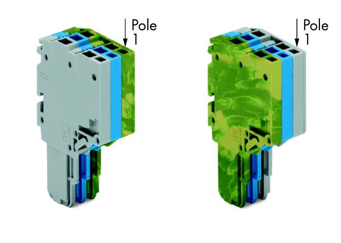 Zwei graue Steckverbindungskomponenten mit blauen und grünen Abschnitten, jede mit der Bezeichnung 'Pole 1'. Sie sind nebeneinander positioniert.