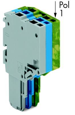 Grauer, mehrpoliger elektrischer Anschlussstecker mit blauen und grünen Elementen, beschriftet mit 'Pol 1' auf der rechten Seite.