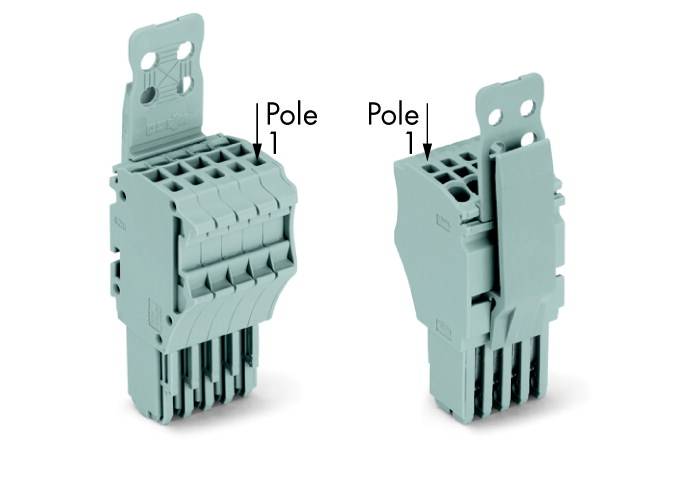 Ein grüner Steckverbinder mit den Beschriftungen 'Pole 1', zeigt zwei Ansichten desselben Moduls, das für elektrische Verbindungen verwendet wird.