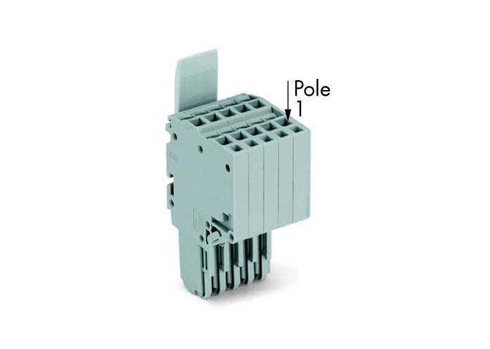 Schaltgerät mit mehreren Anschlussklemmen. Ein Label zeigt auf einen Abschnitt und ist mit 'Pole' beschriftet.