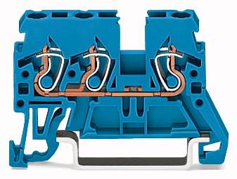 Querschnitt eines blauen elektrischen Steckverbinders mit sichtbaren Kupferleitern und Klemmmechanismus.
