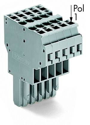 Ein grauer elektrischer Stecker mit mehreren Polen, etikettiert als 'Pol 1', zeigt die Anschlussmöglichkeiten.