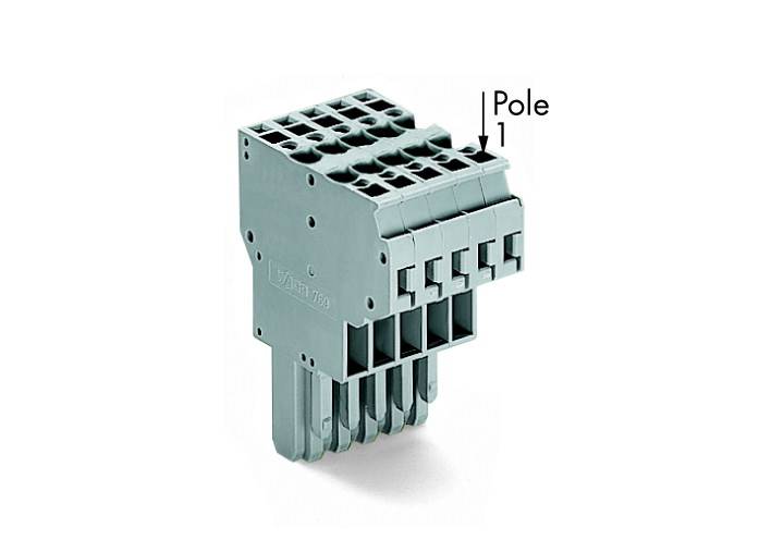 'Weidmüller' Klemmenblock, einpolig, grau, Seitenansicht. Markierung 'Pole 1' zeigt die Position der einzelnen Klemme an.