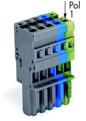 Grauer, blauer und grüner elektrischer Steckverbinder mit mehreren Anschlüssen, nummeriert mit 'Pol 1' auf der rechten Seite.