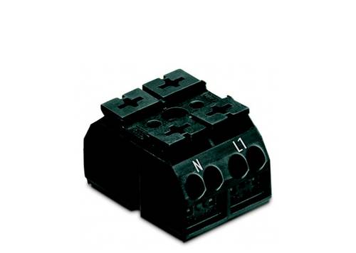WAGO 862-2562 Geräteanschlussklemme Federklemme Schwarz 500 St.