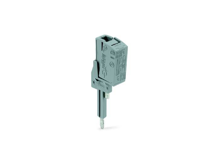 Ein grauer Steckverbinder mit rechteckigem Gehäuse und zwei Metallkontakten, geeignet für elektronische Anwendungen oder Verbindungen.