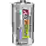 LR14 Baby (C)-Batterie Alkali-Mangan 1.5V
