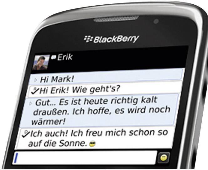 BlackBerry Curve 3G 9300 ()