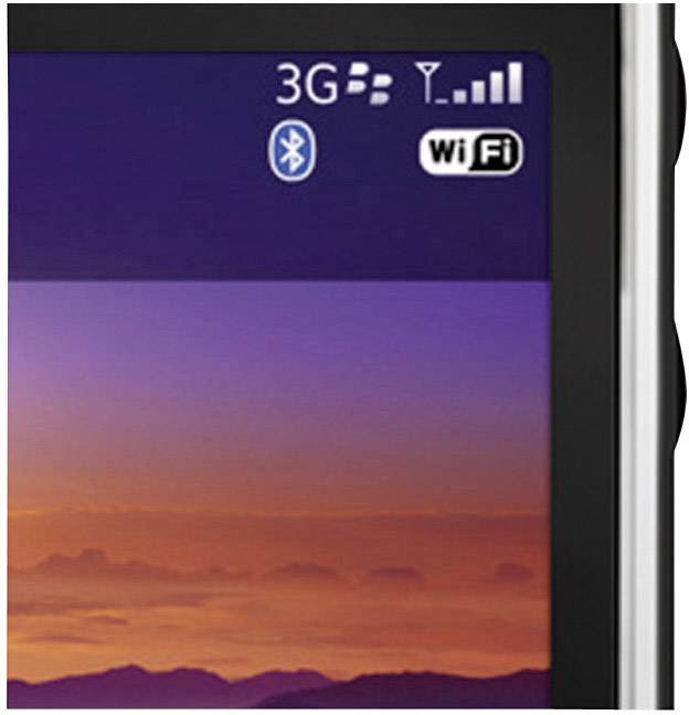 BlackBerry Curve 3G 9300 ()