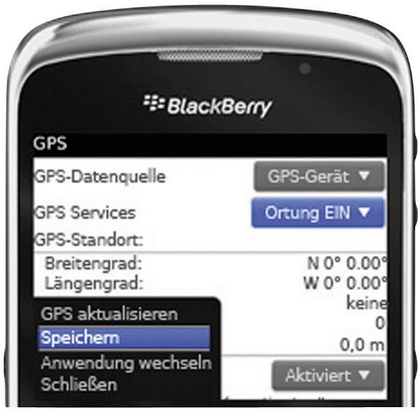 BlackBerry Curve 3G 9300 ()